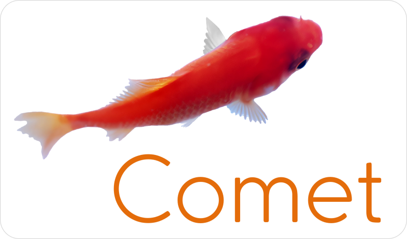 Comet logo